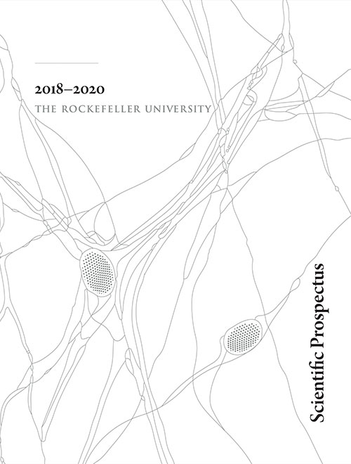 Scientific prospectus Cover