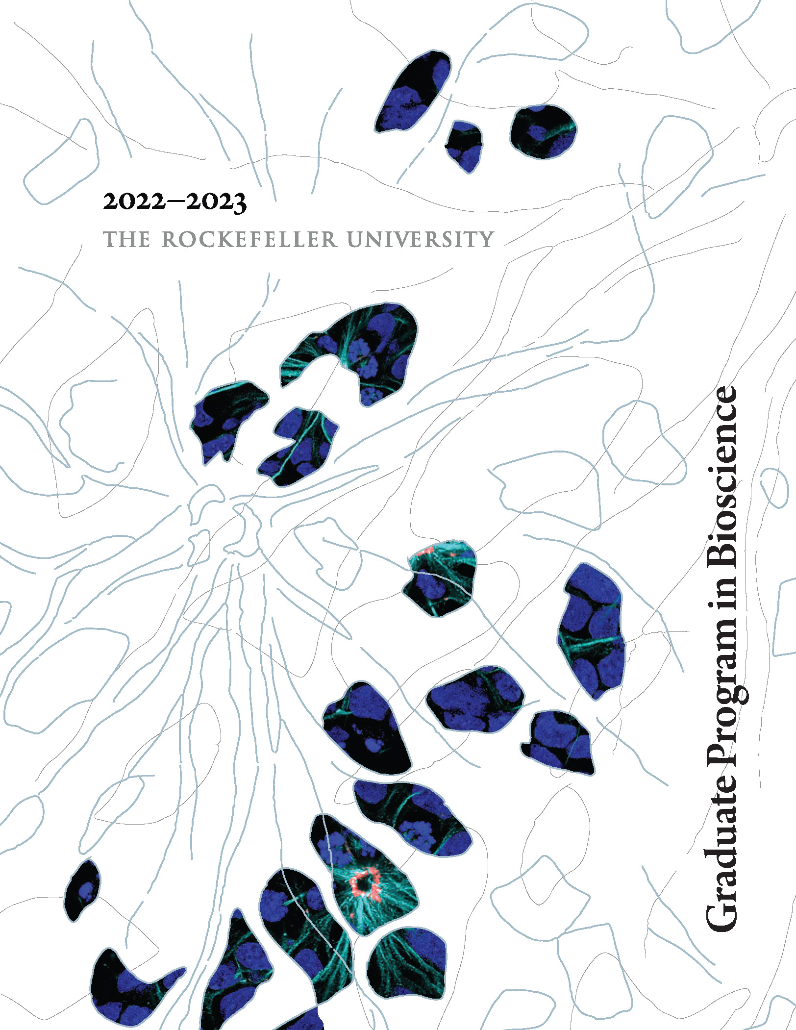 Graduate Program Cover