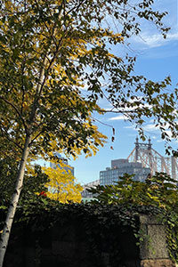 RRB Queensboro Bridge