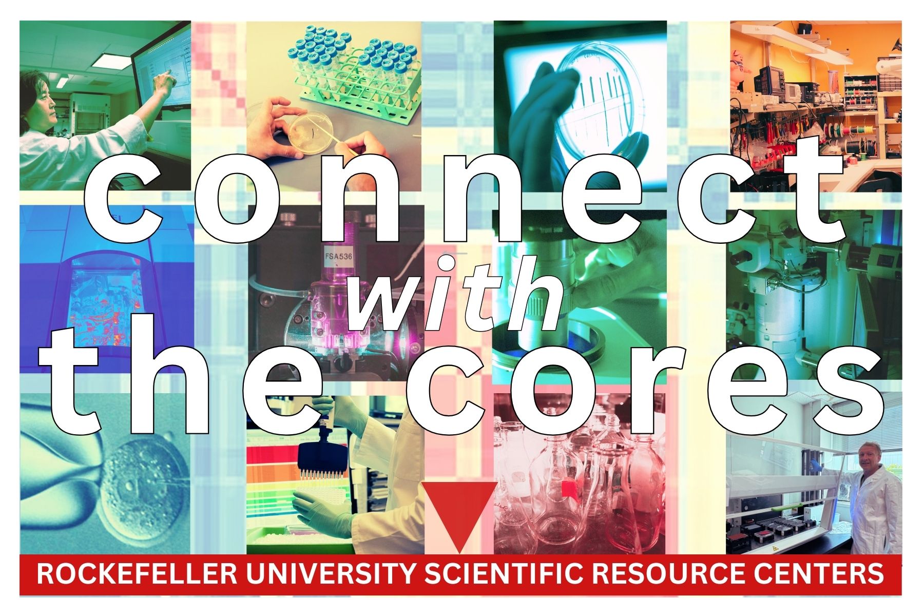 Connect with the Cores