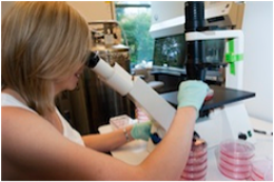 IFAR lab photography