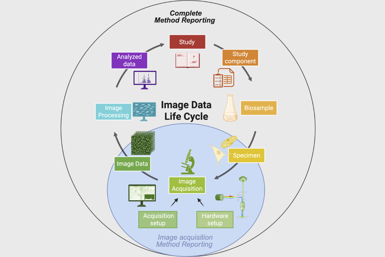 Improving Reproducibility Through Better Microscopy Reporting