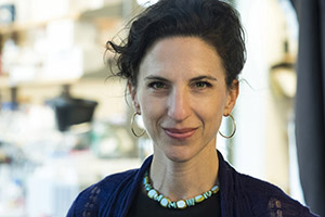Vanessa Ruta, Ph.D.