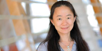 Jue Chen, Ph.D.