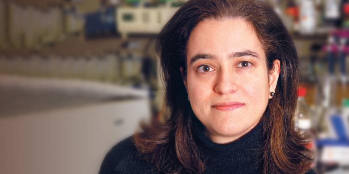 F. Nina Papavasiliou, Ph.D.