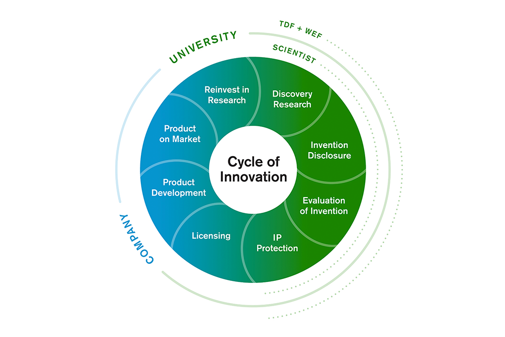 Cycle of innovation graphic