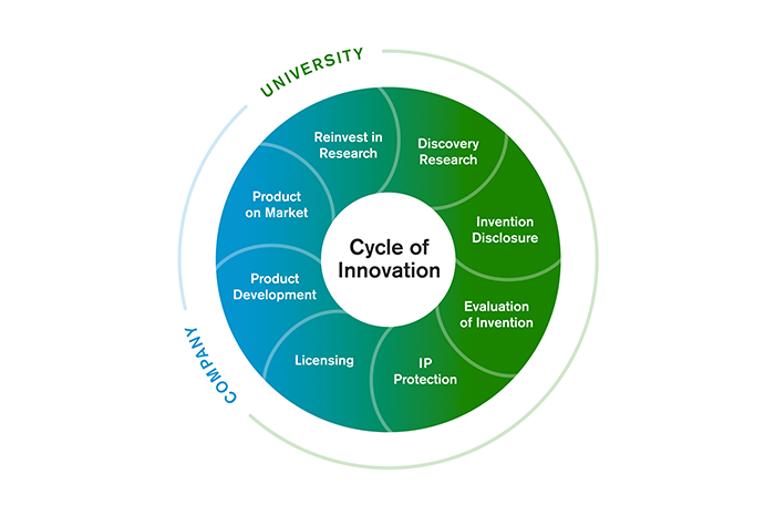 translational research cycle of innovation