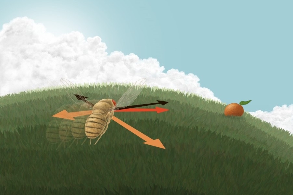 Illustration by Meishel Desouto