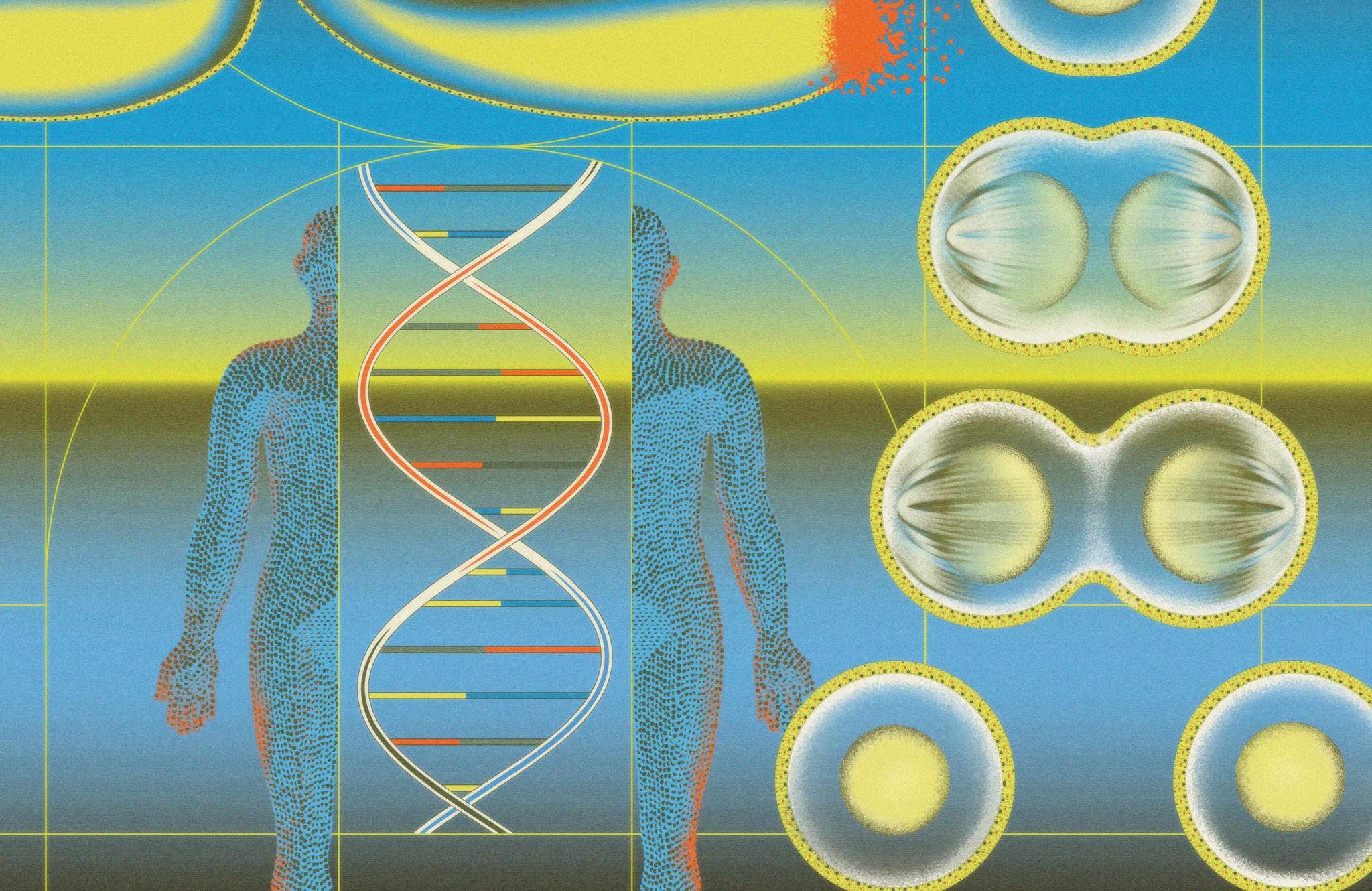 26-02-06-SEEK-DNA-ILLO-01-2048x1330