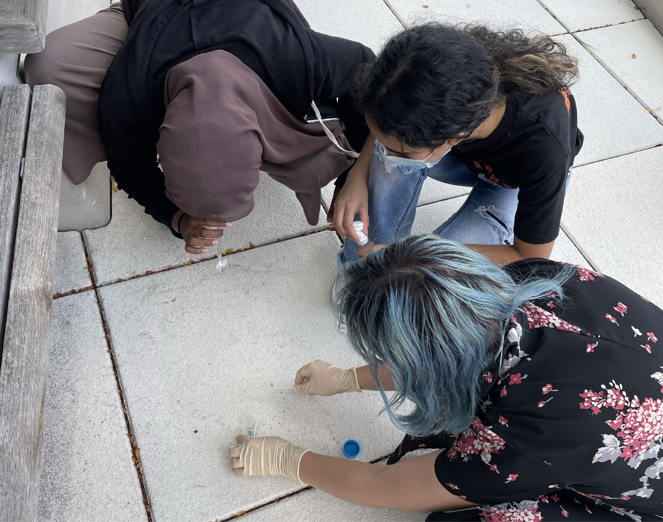 three women scoop an ant into a test tube