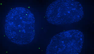 Bieniasz_ancient-virus_nw