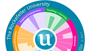 U-Multirank survey
