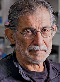 Michael P. Rout