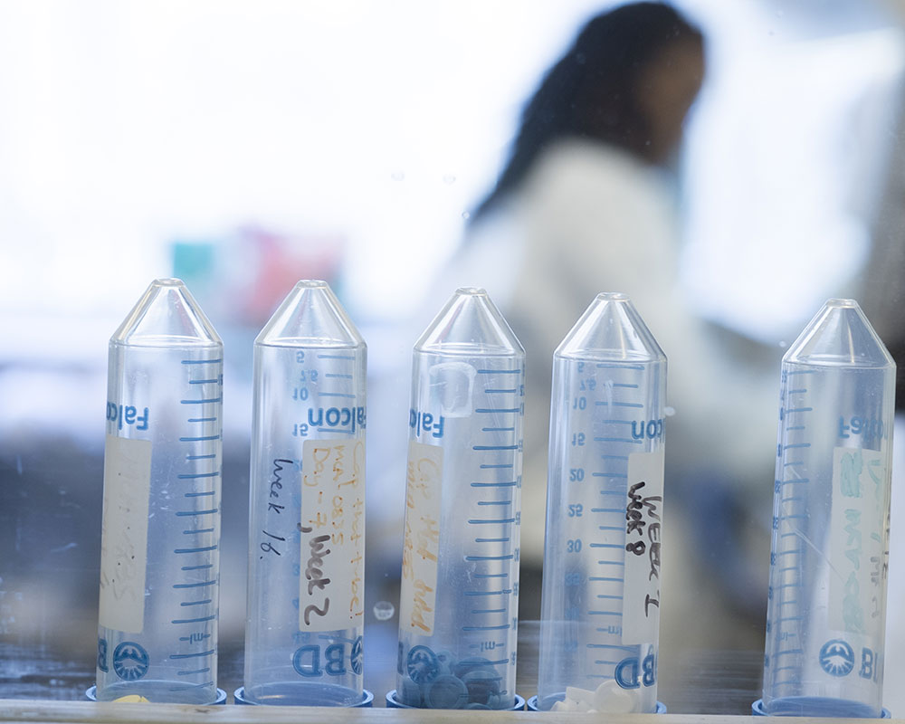 Test tubes in lab