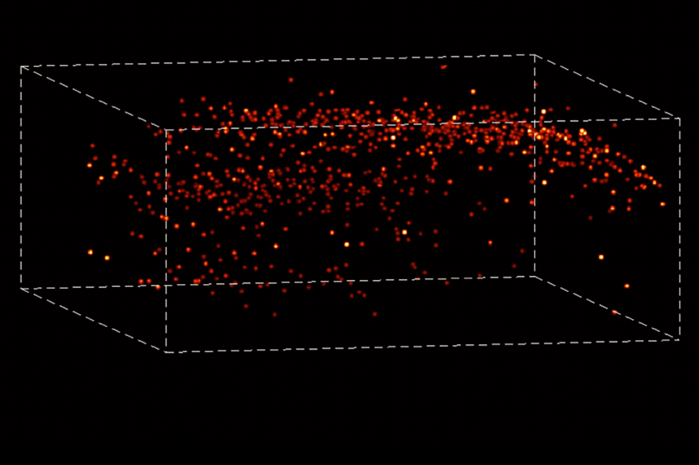 A mouse’s hippocampal brain neurons flash on and off as the animal walks around with a microlens array on its head.