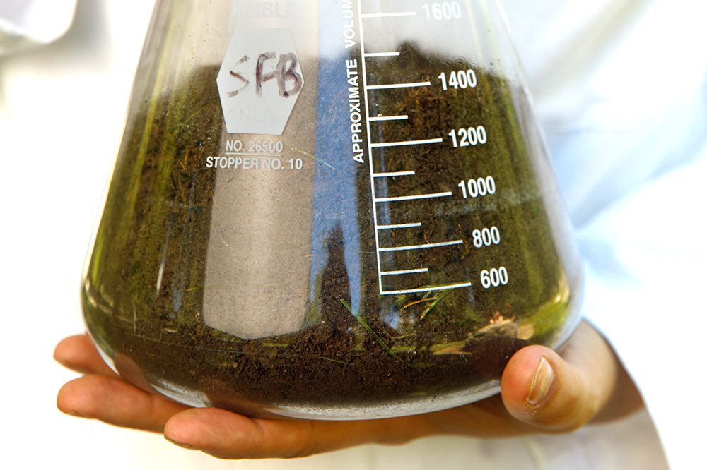 Soil is a rich source of bacteria, some of which produce molecules that act as natural antibiotics.