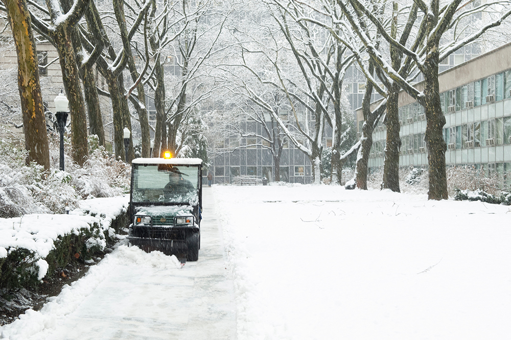 Snow at Rockefeller