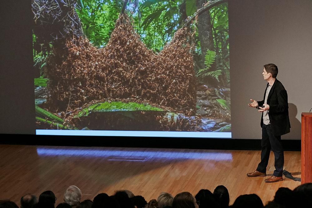 Kronauer shows the architectural feats of army ants