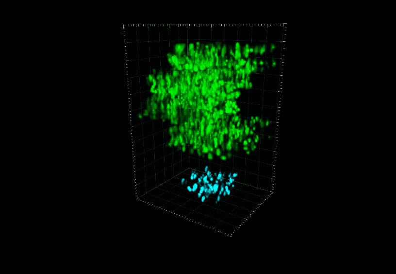 New microscopy technique