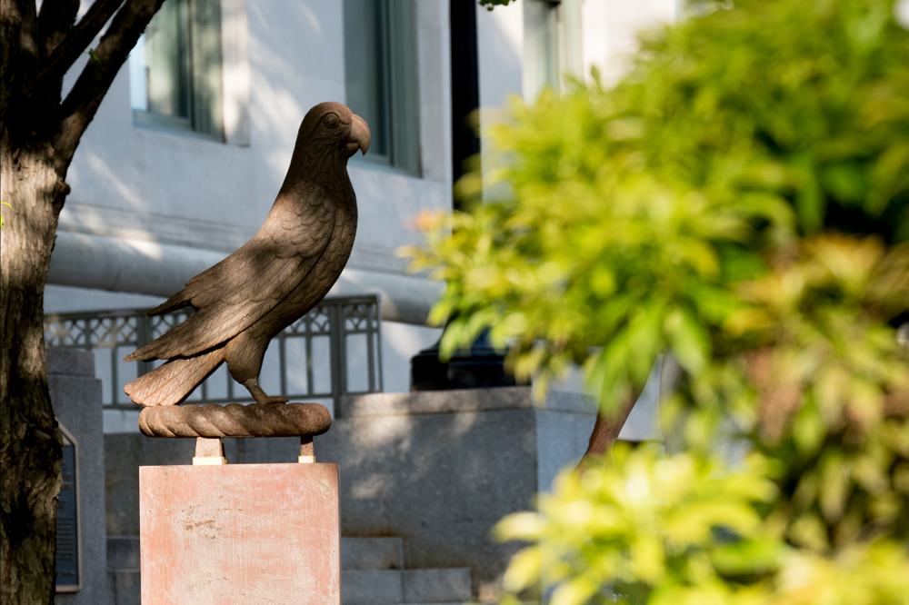 Parrot sculpture donated by Torsten N. Wiesel