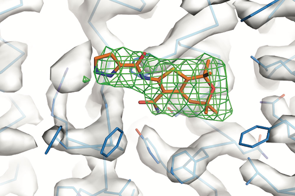 A potentiator (orange) binds to a protein “hotspot”