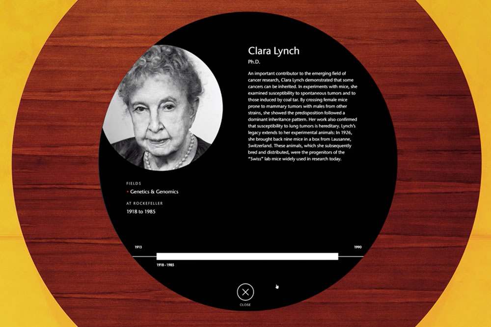 Clara Lynch
