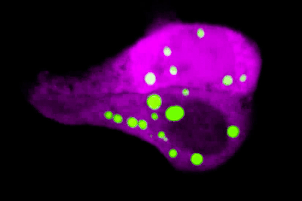Phase separation