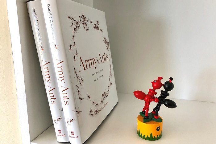 Daniel Kronauer's new book on bookshelf