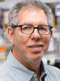 Jeff Friedman