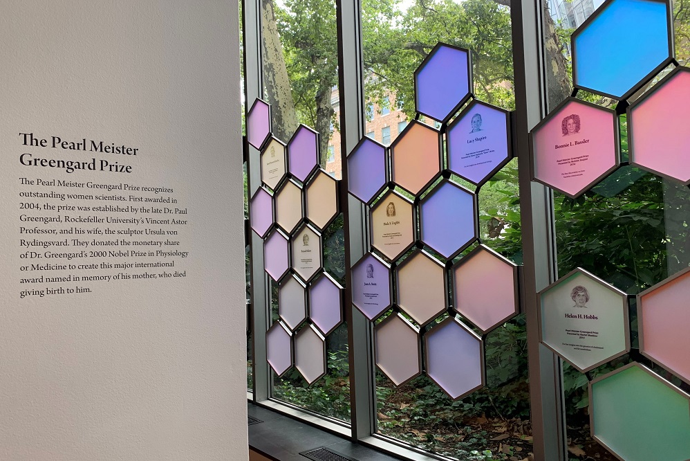 Pearl Meister Greengard Prize exhibit