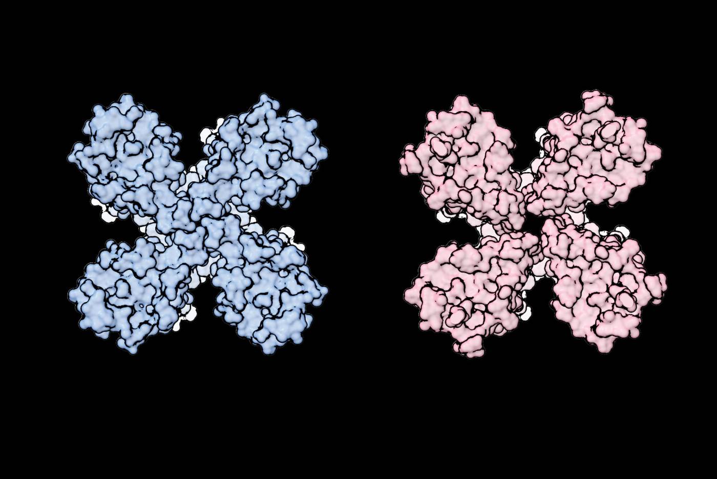 On the left, the channel pore appears blue and is closed. On the right, the channel is pink and open.