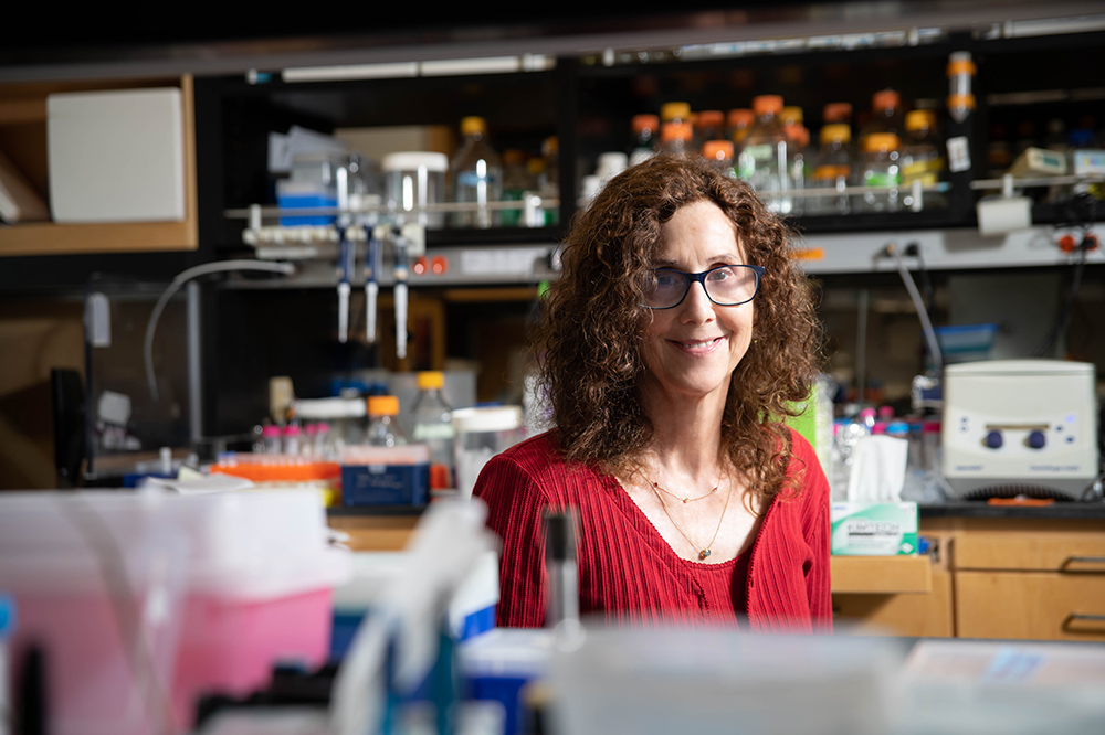 Pamela Rockefeller The Rockefeller University » Pamela Björkman wins the 2021 Pearl ...