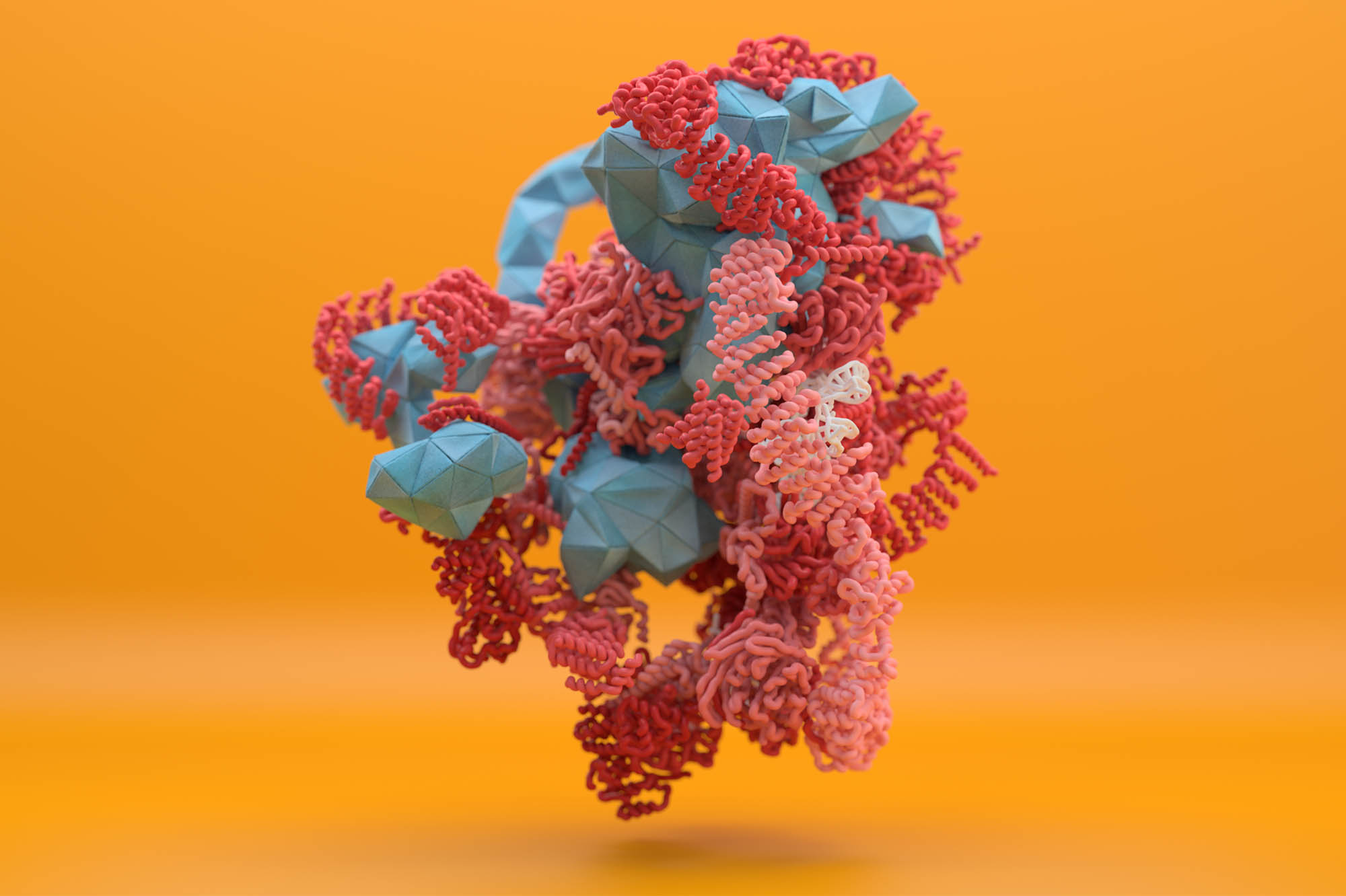 Ribosome subunit