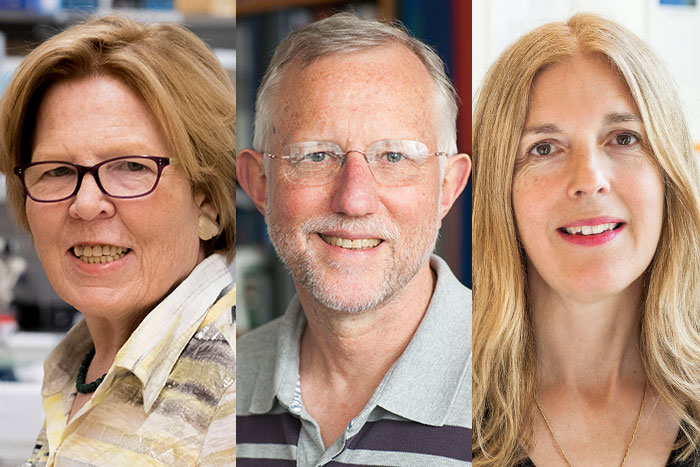 Mary E. Hatten, Charles M. Rice, and Leslie B. Vosshall