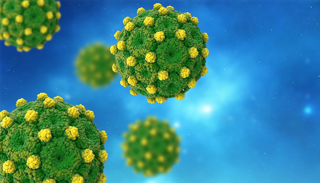 Models of hepatitis B viral particles