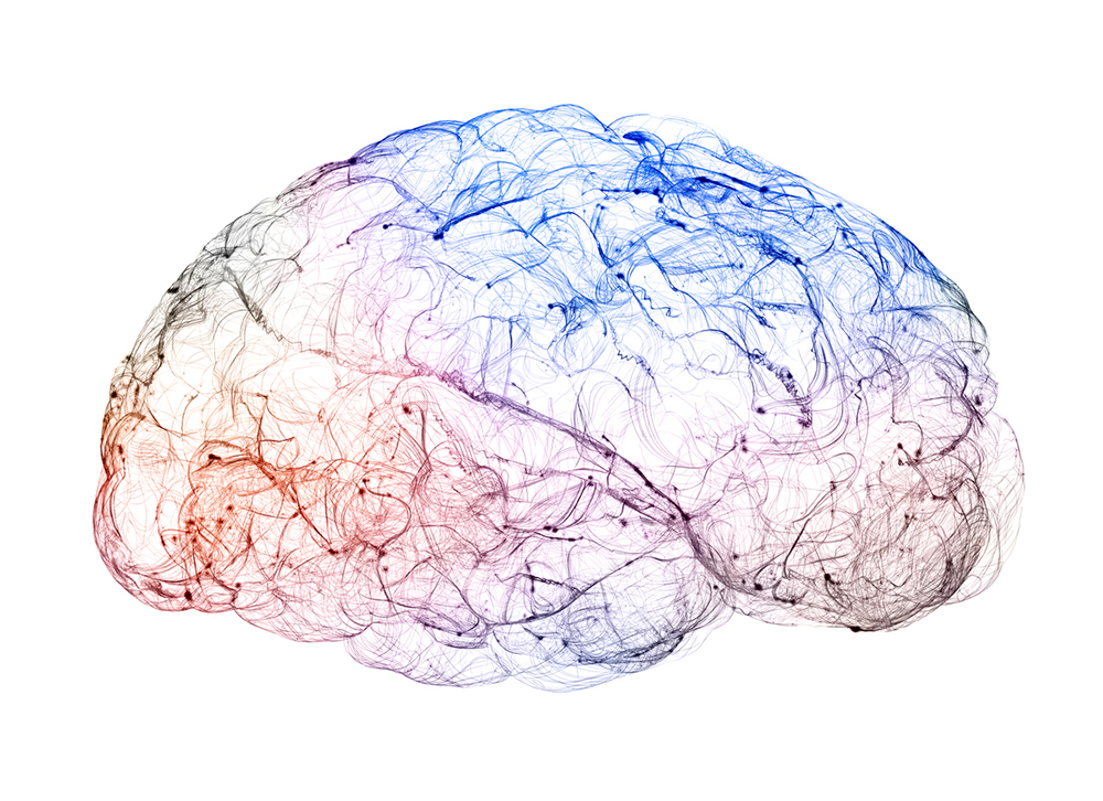 Colorful illustration of synapses