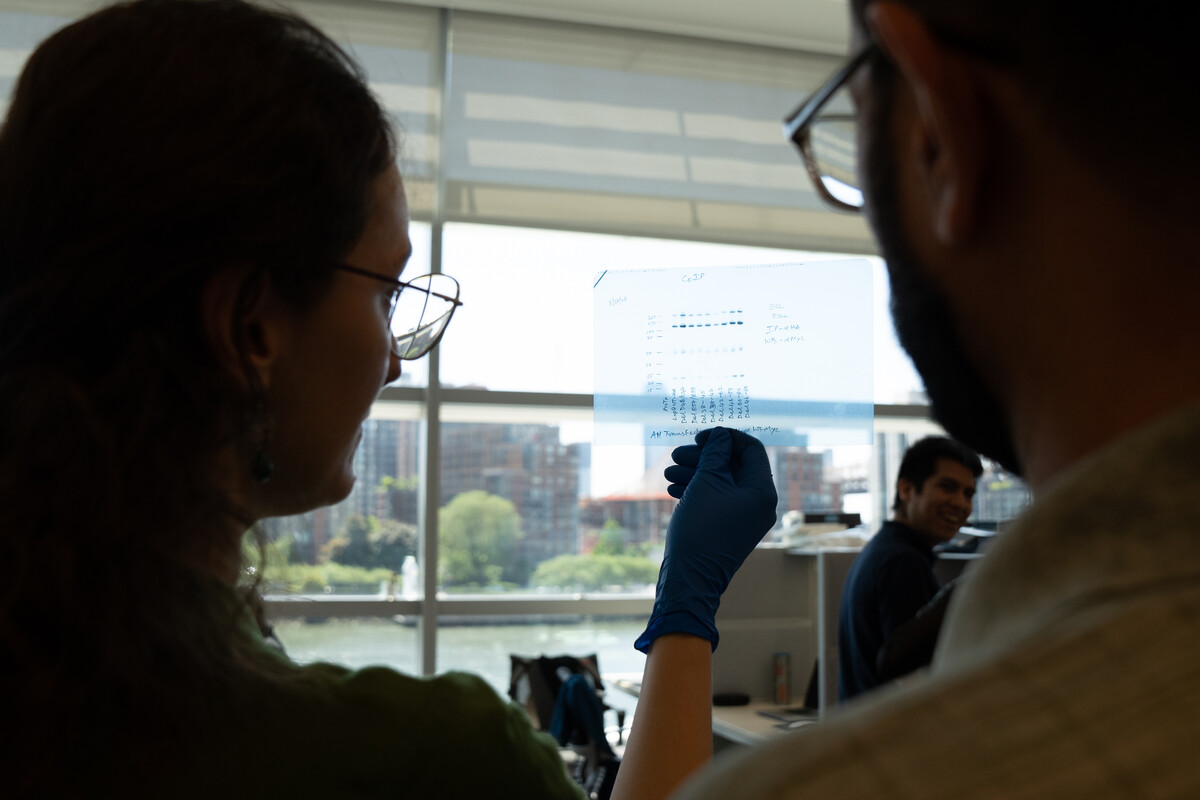 Scientists in front of cityscape