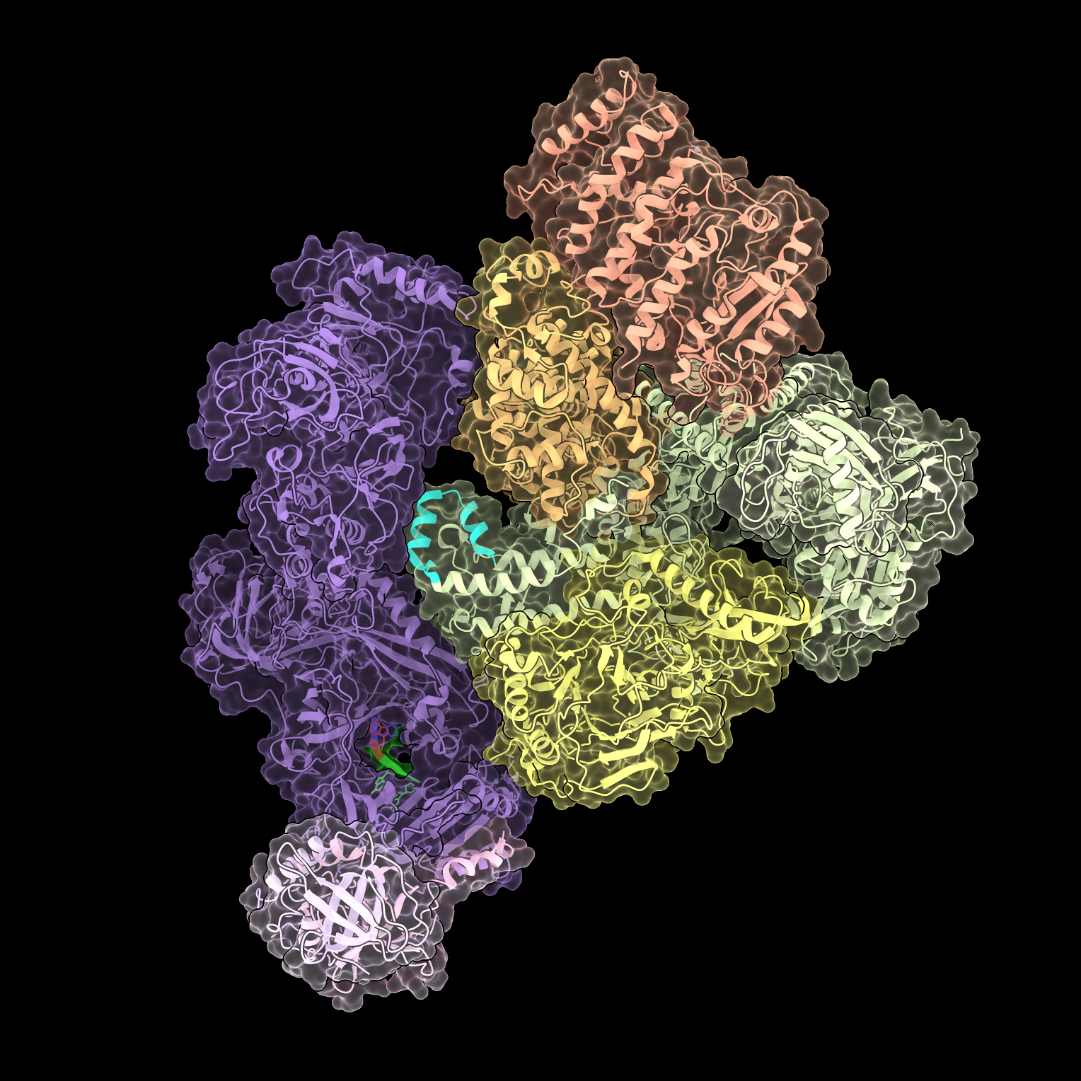 CST–Polα-primase complex