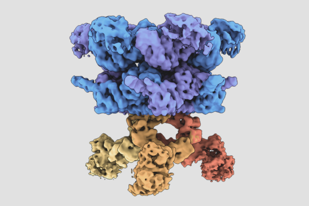 EMVCP kapoor lab