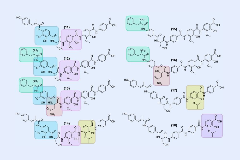 variants of the antibiotic albicidin