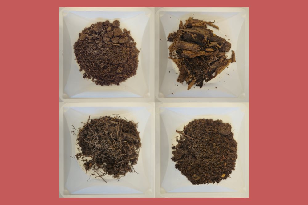 bacterial DNA extracted from soils