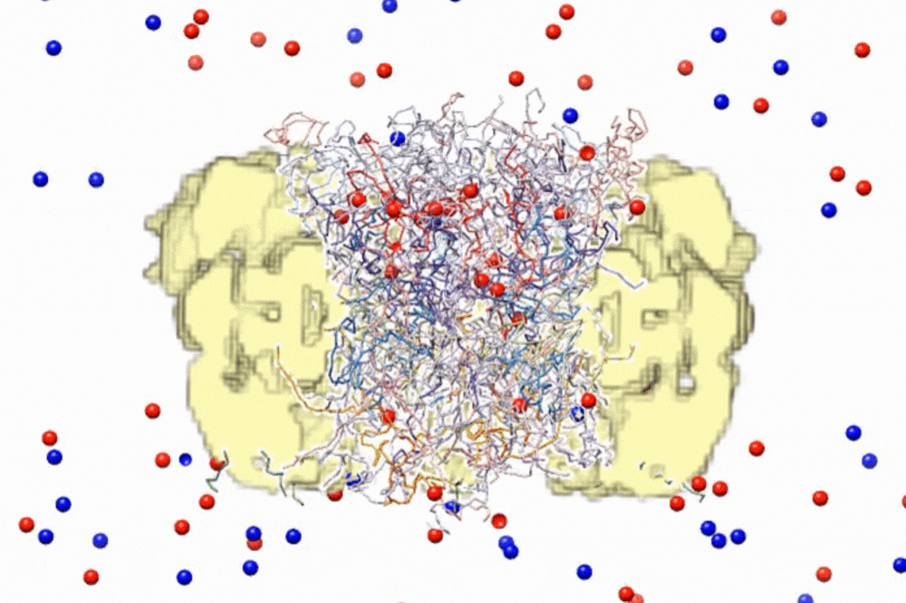 Red and blue spheres representing molecules interact with the nuclear pore complex