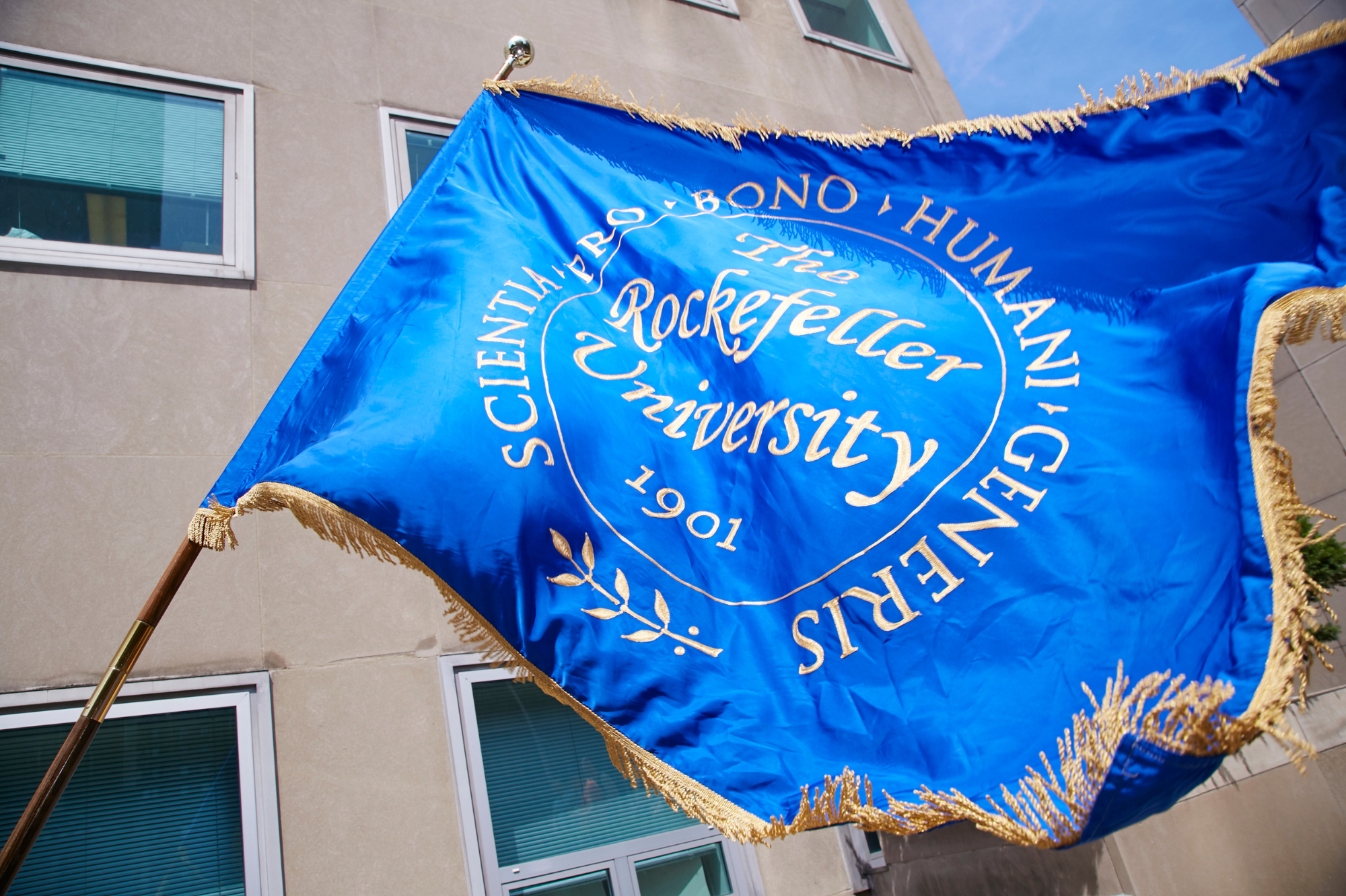 Rockefeller flag