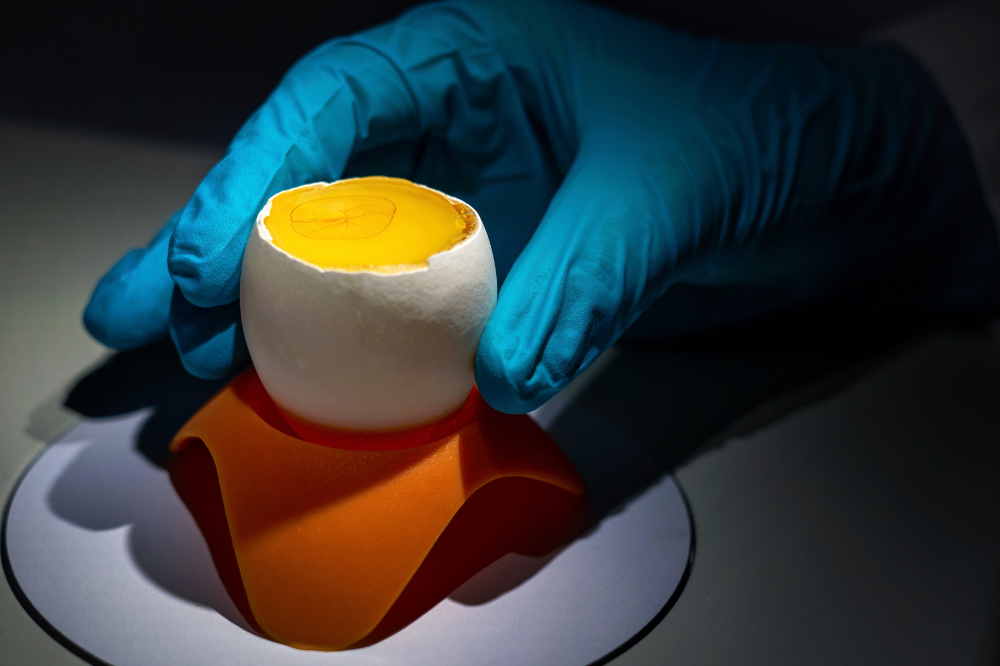 Inside an egg at Neion Bio