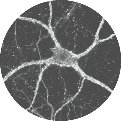 Pearl Meister Greengard Prize logo