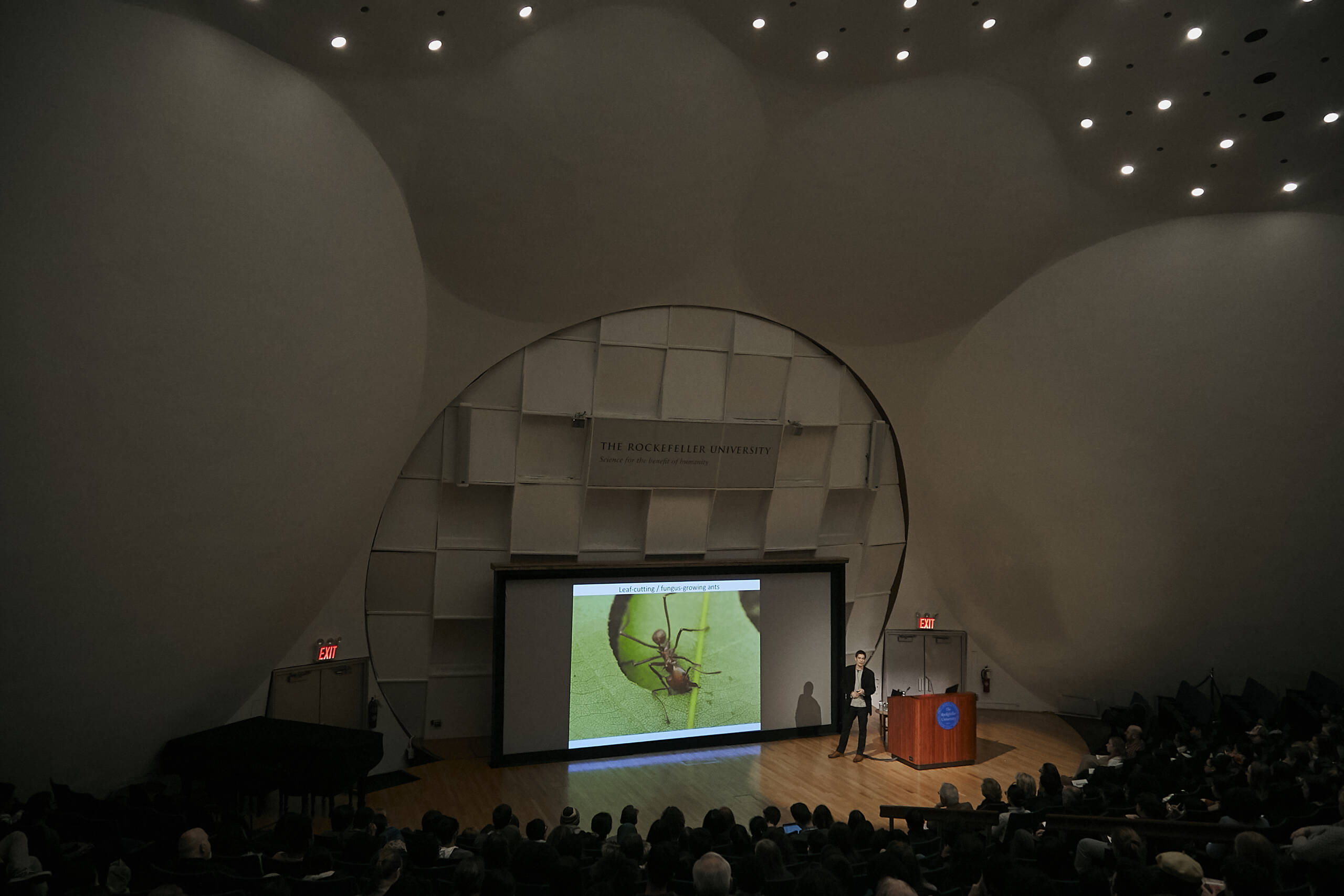 Talking Science