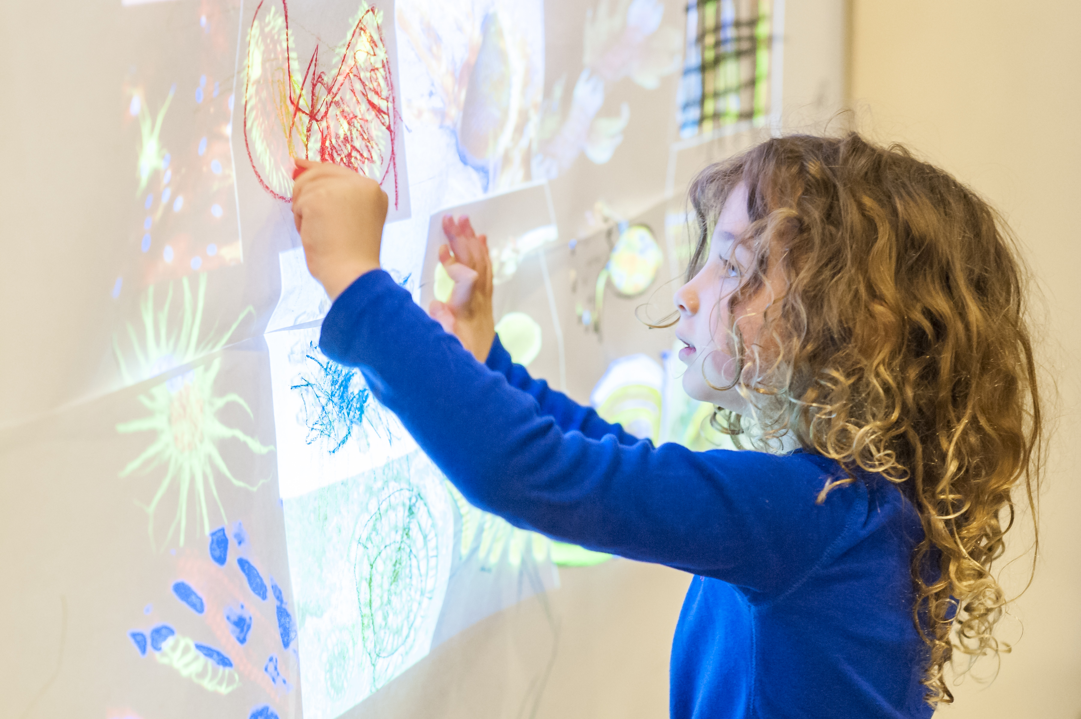Tracing microscopic images of neurons and cells