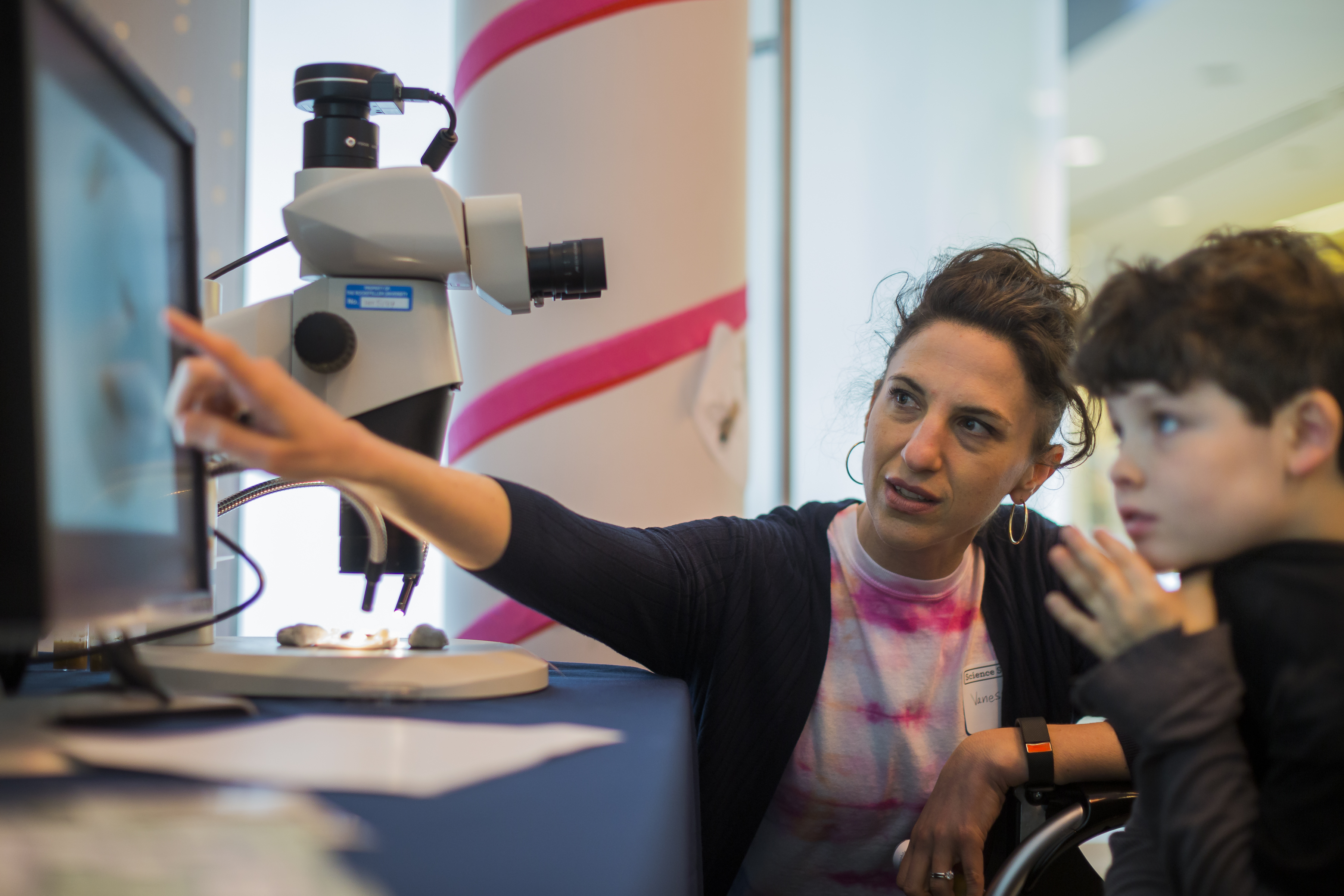 Studying fruit fly courtship with Rockefeller professor Vanessa Ruta