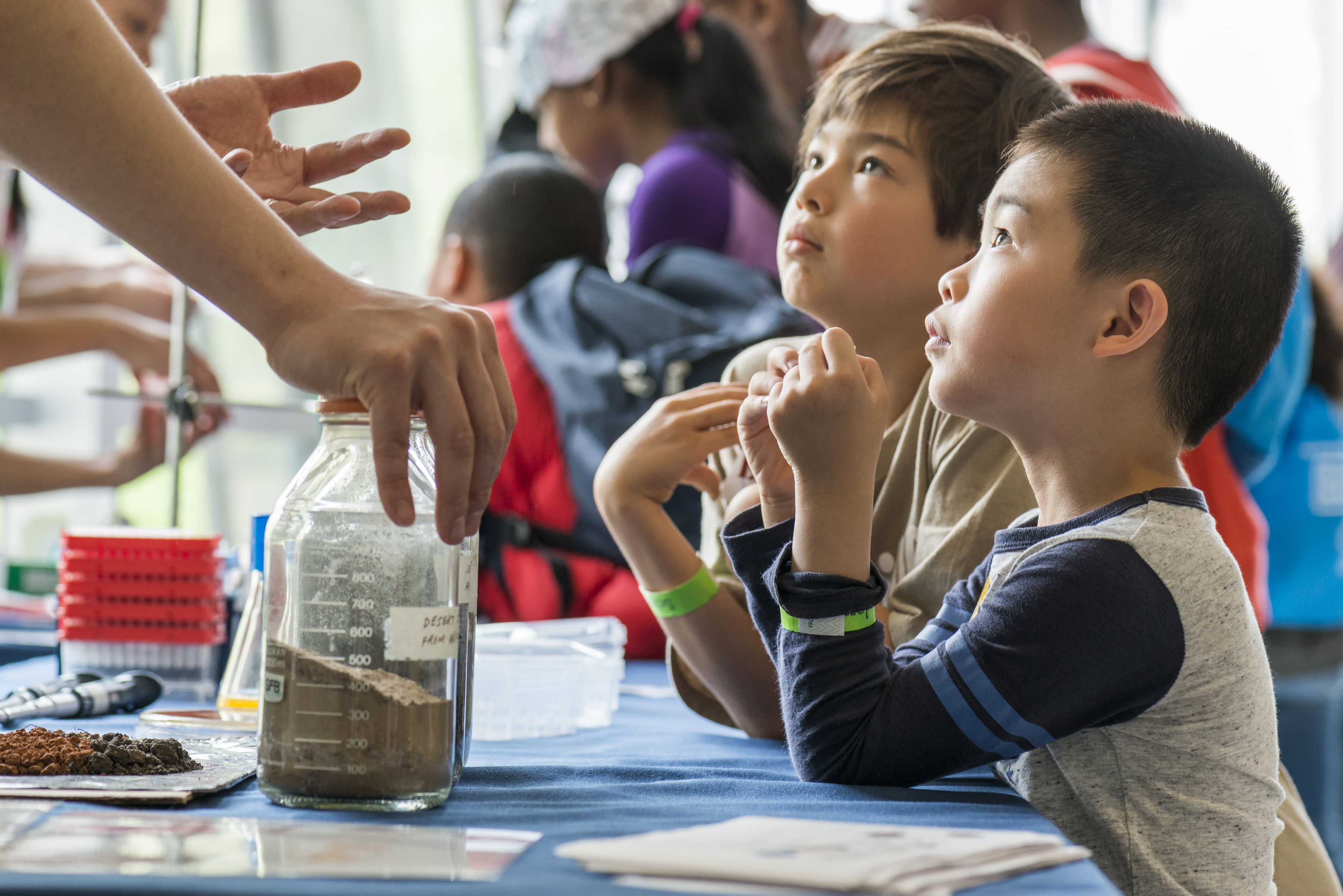 Discovering the beneficial microbes that can be found in soil