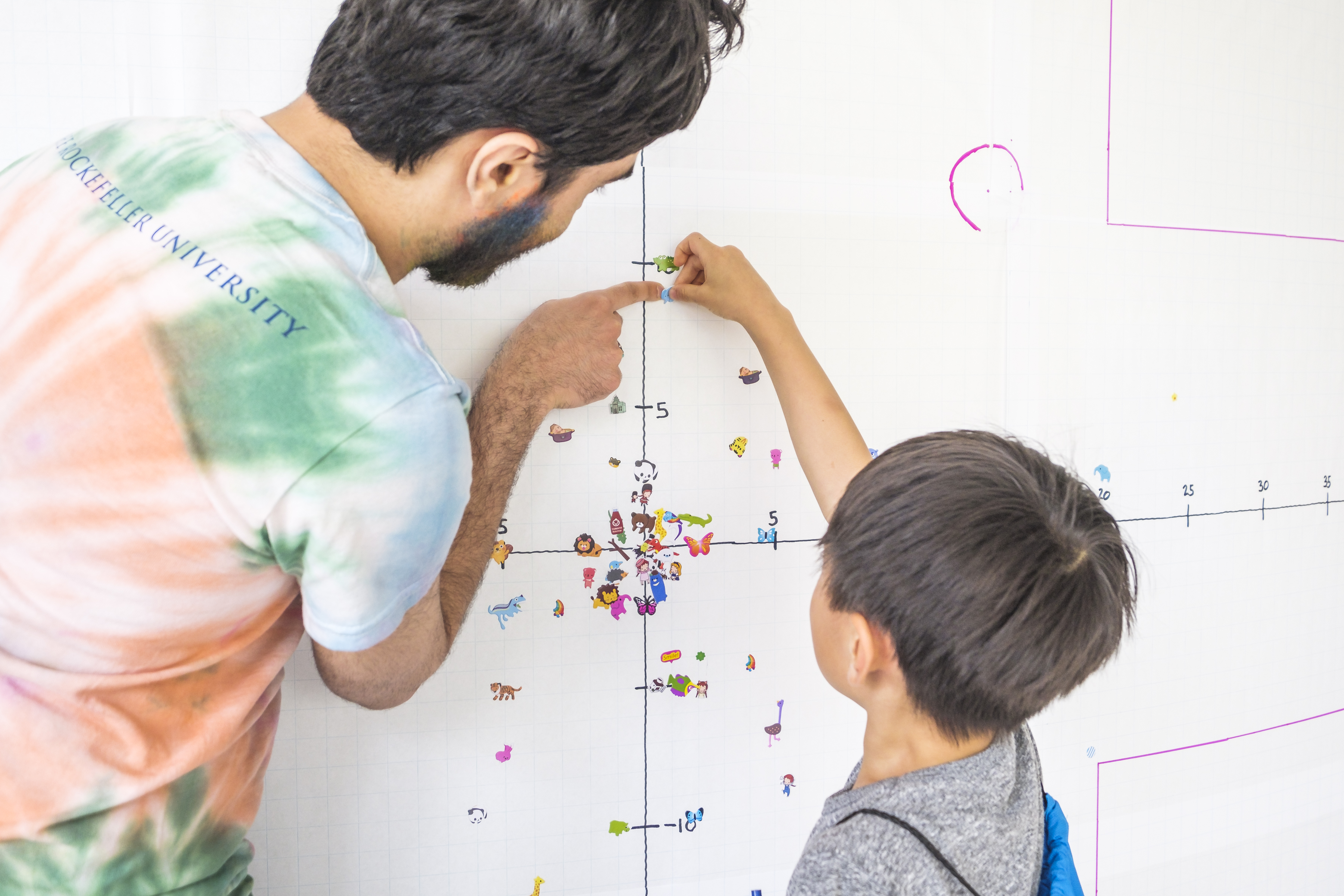 Plotting the results of an experiment